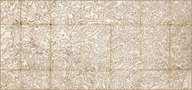 Part of a map drawn by Jean Dominique Cassini based on triangulation