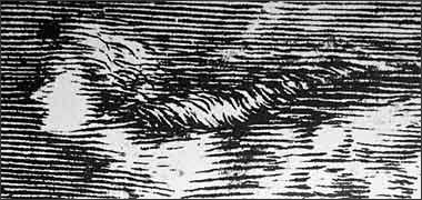 Detail of a map of the moon drawn by Jean Dominique Cassini