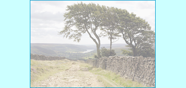 A view south of the river Nidd dale