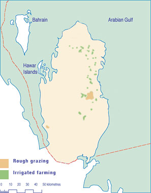 Grazing and farm distribution in Qatar