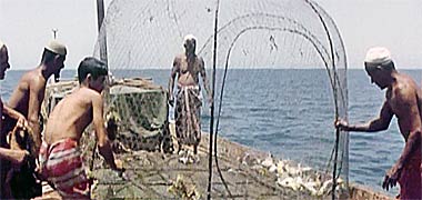 A fishing trap hauled onto a fishing boat in the 1960s – image developed from a YouTube video
