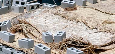 The use of palm matting within a roof structure