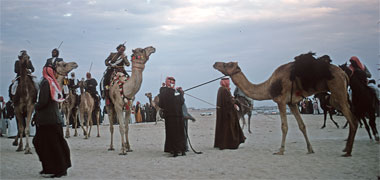 A group of badu meet in the desert with their camels