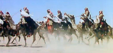 Bedu riders