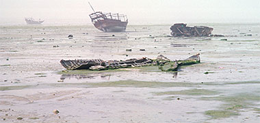A boat rotting off al-Bida in 1972