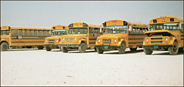 Yellow buses
