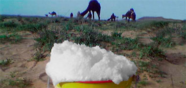 Frothing camel milk