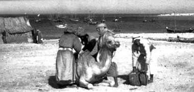 A camel being loaded at the port in the early nineteen-forties