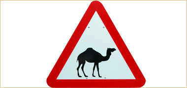 A standard camel warning road sign