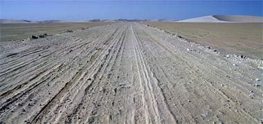 Tracks across sabkha near the south of the peninsula, 1979