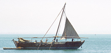 Crew of a dhow dropping anchor