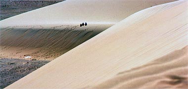 Three Qataris in the desert