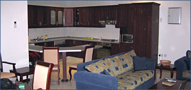 A kitchen/living/dining room for expatriates