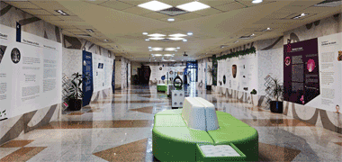 Reception spaces within the building – courtesy of Fadi Hassen