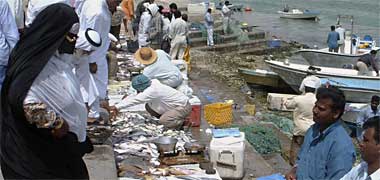 Qatari woman buying fish
