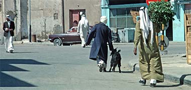A goat being led to a Qatari’s home, the new owner carrying the jet, 1972