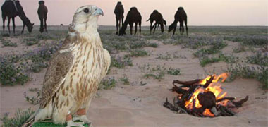 A hawk and camels with fire at dusk