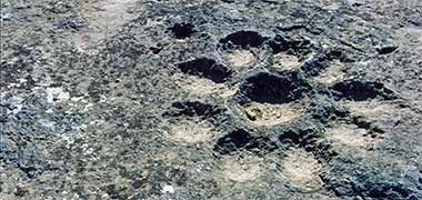 A petroglyph carving at al-Jassassiyah