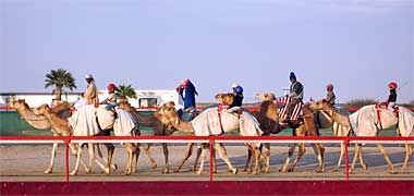 Camel jockeys, including children