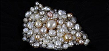 A collection of natural pearls
