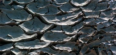 The effects of drought