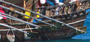 The traditional oars of a pearling boat