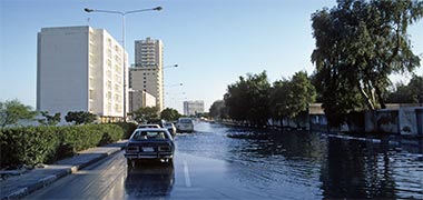 Rainwater on the Rayyan Road, April 1988