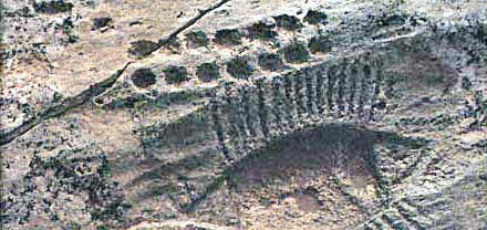 A petroglyph at al-Jassassiyah