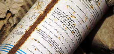 A discarded rusting tin