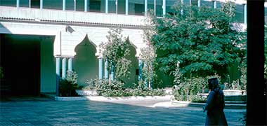 South end of the Diwan al-Amiri courtyard, October 1975