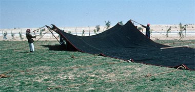 A Badu tent laid out prior to raising it