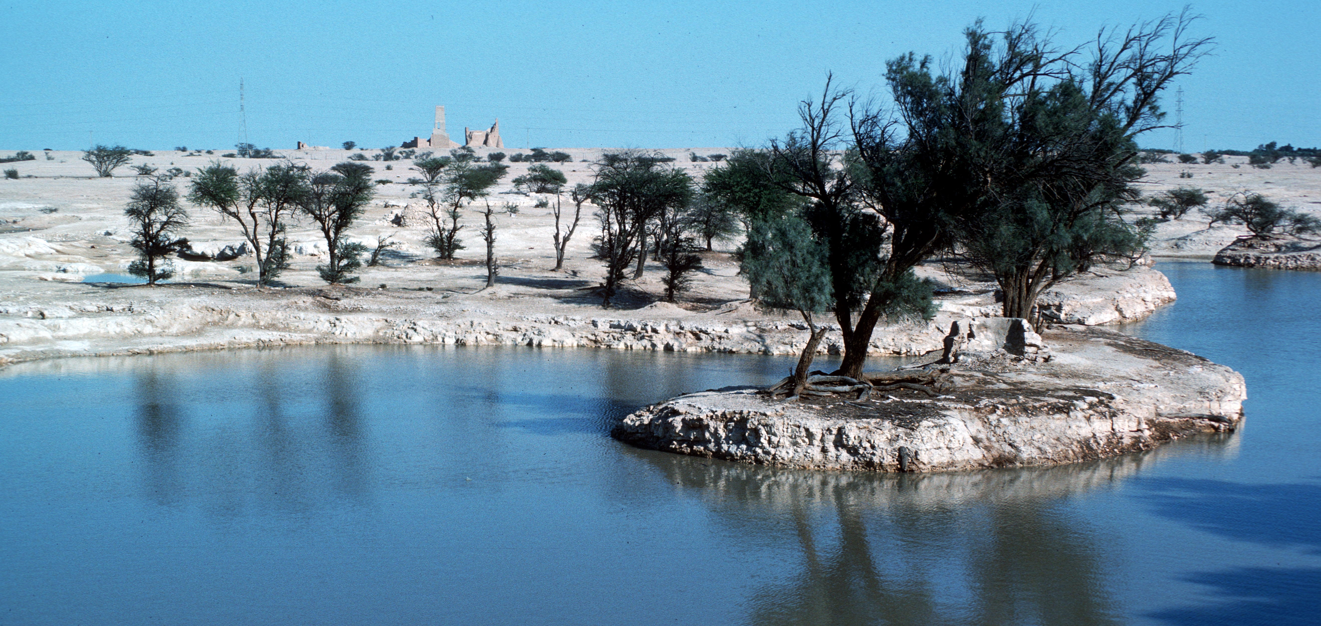 The dammed water resource at Umm Salal Muhammad, February 1976