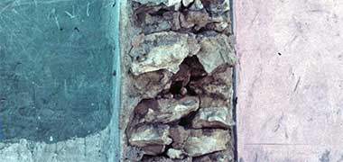 Cross section of a traditional residential wall construction
