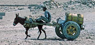 A water seller and donkey, 1972