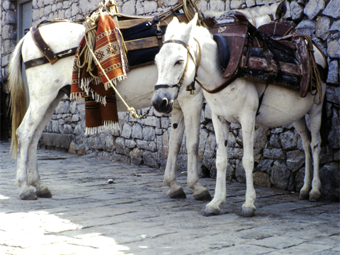 greece