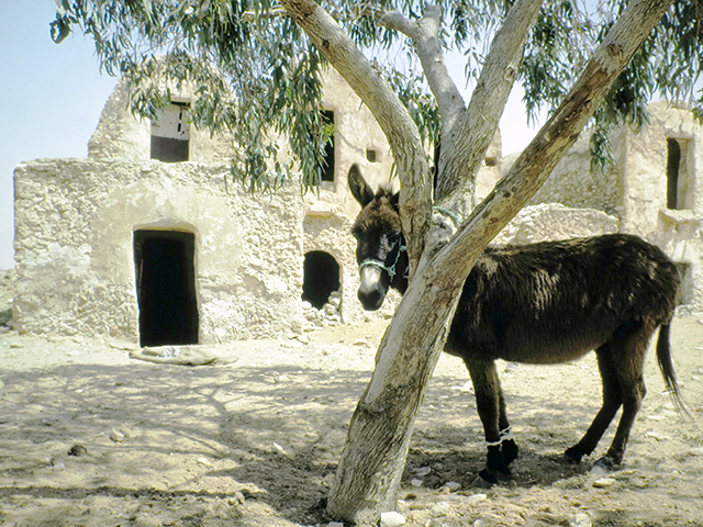 tunisia