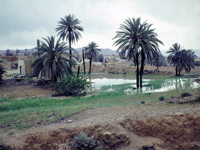 tunisia