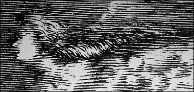 Detail of a map of the moon drawn by Jean Dominique Cassini