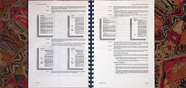 View of a house style document
