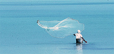 A cast net being thrown in October 1973