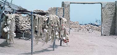 Nets waiting use on feriq al-Salata, October 1972