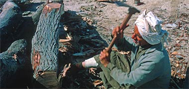 A craftsman using an adze to shape the ribs of a boat