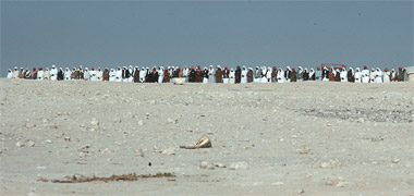 A line of men praying in the desert