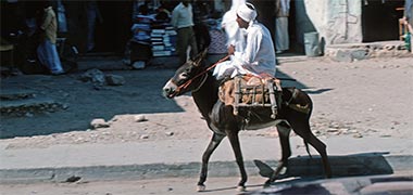 A donkey being ridden through the suq