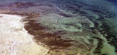 Fish traps north of Doha