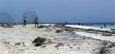 Fishermen carrying their fish traps