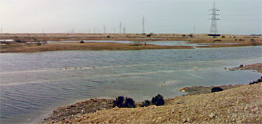 Flood water south of Umm Said