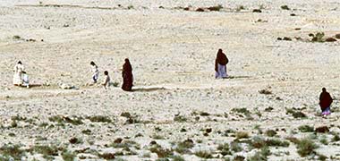 A Qatari family looking for truffles