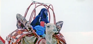 A woman on a hawdaj – the image developed from an AlrayyanTV video