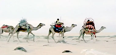 Part of a family group travelling on camels, one fitted with a hawdaj – the image developed from an AlrayyanTV video